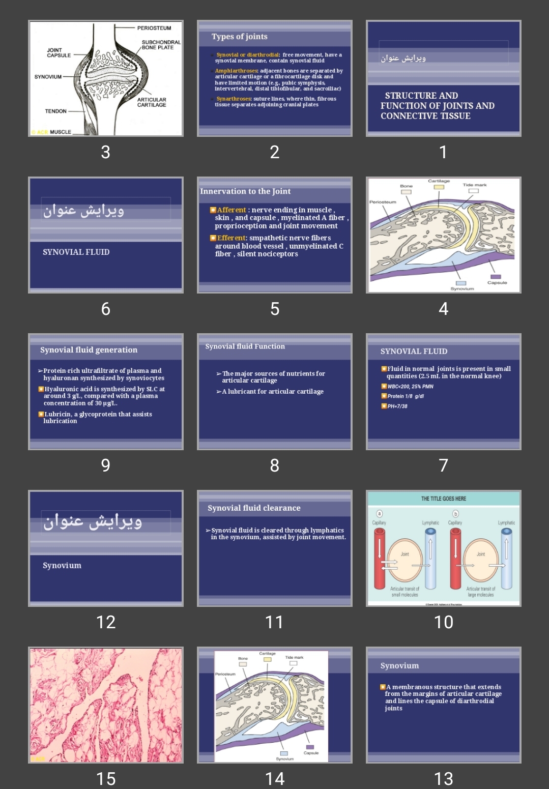 پاورپوینت STRUCTURE AND FUNCTION OF JOINTS AND CONNECTIVE TISSUE