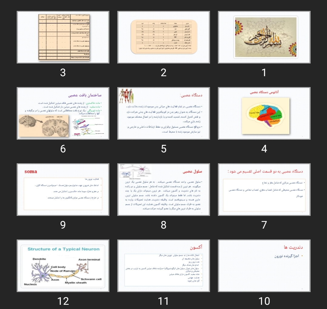 پاورپوینت آناتومی اعصاب پرستاری