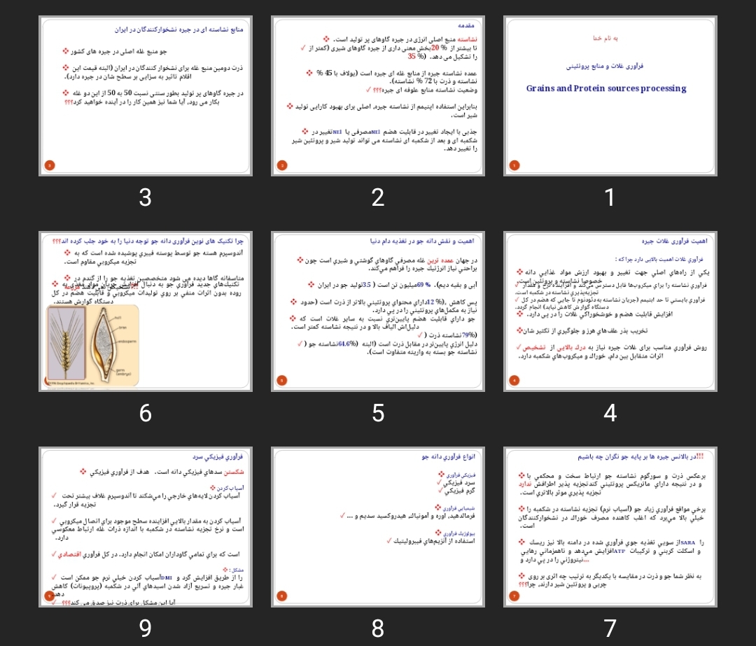 پاورپوینت فرآوری غلات و منابع پروتئینی