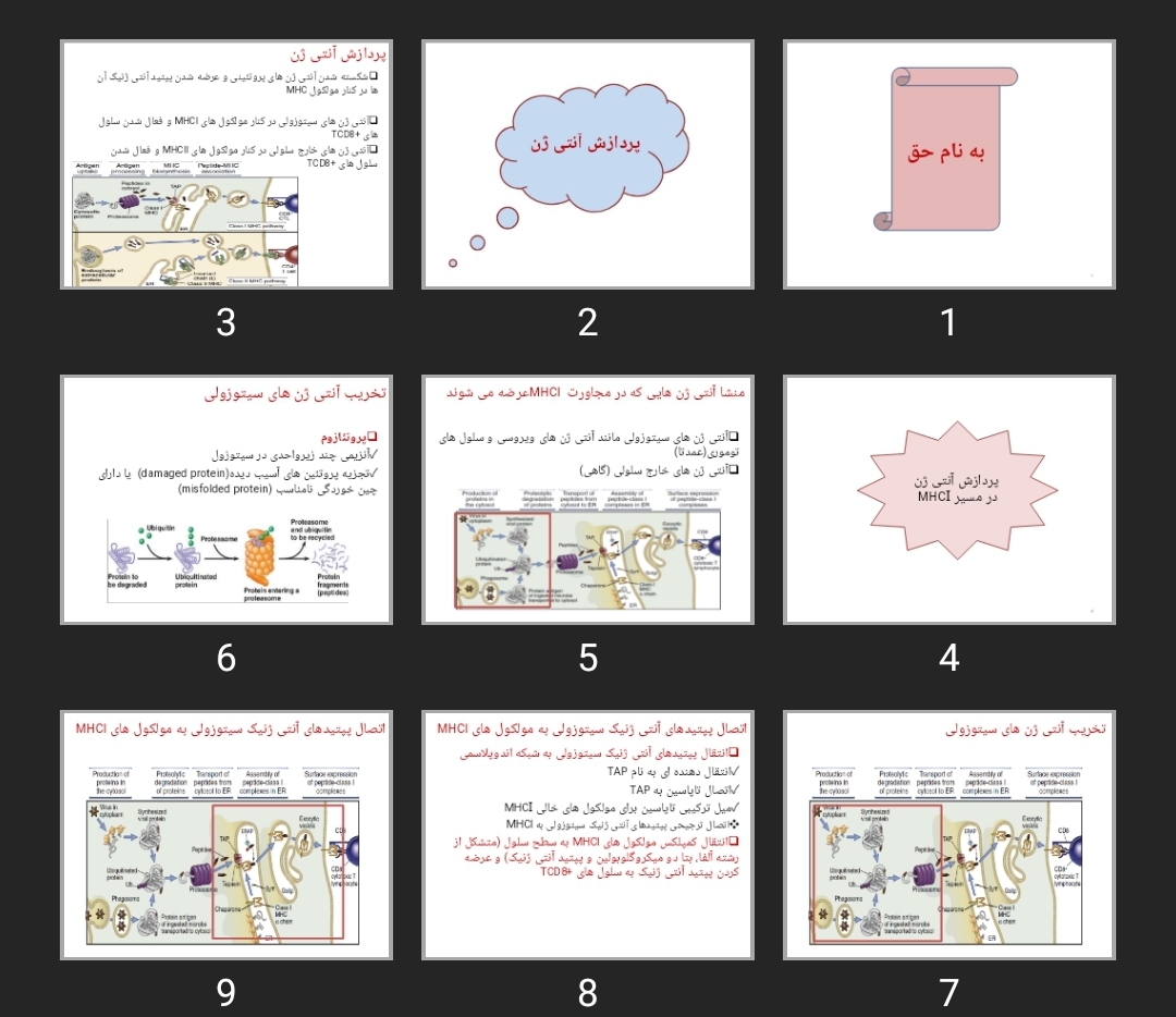 پاورپوینت پردازش آنتی ژن antigen processing