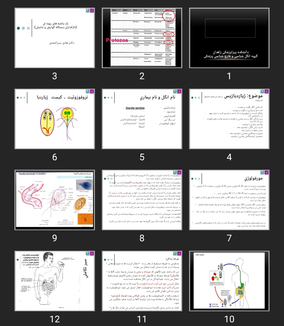 پاورپوینت Medical flagelates