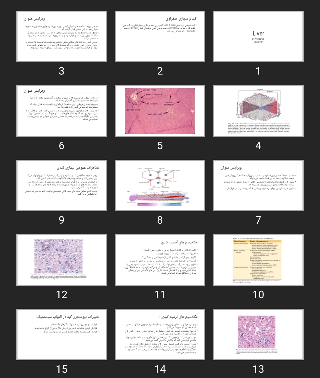 پاورپوینت Liver