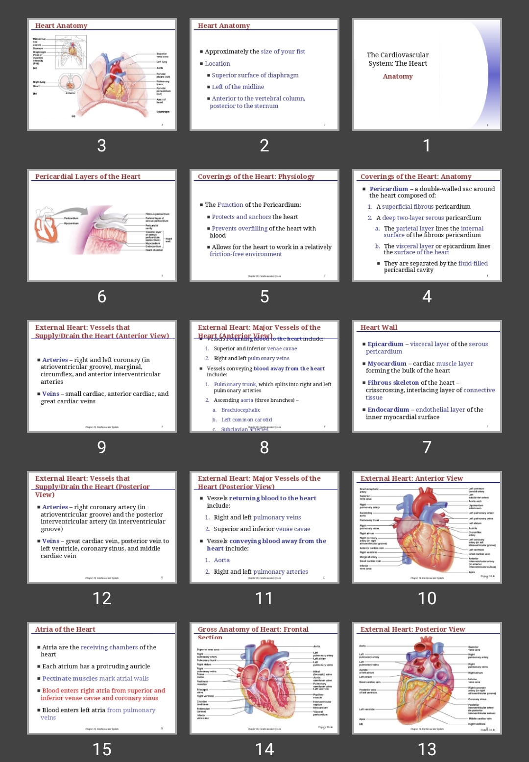 پاورپوینت The Cardiovascular System: The Heart Anatomy