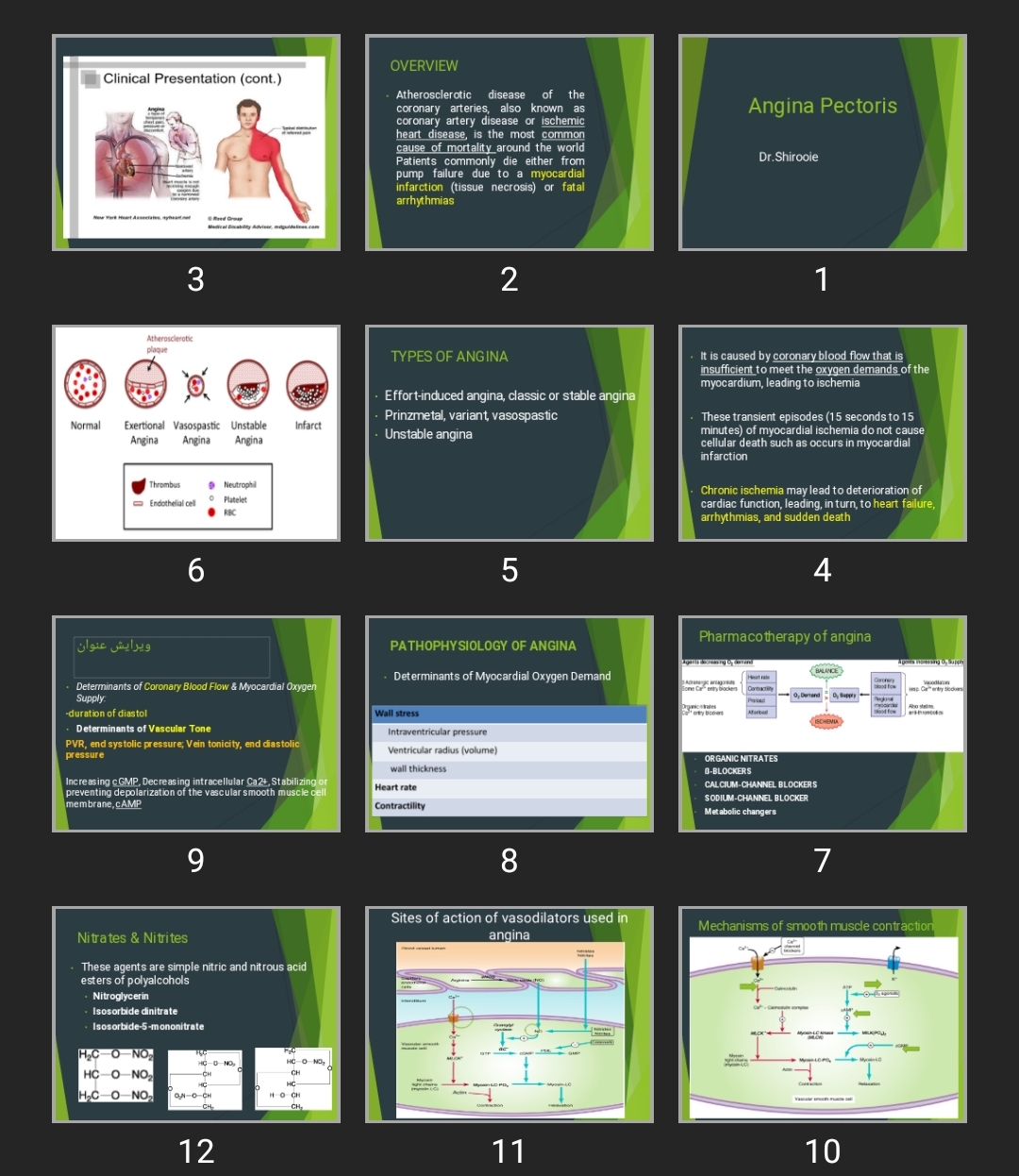 پاورپوینت Angina Pectoris