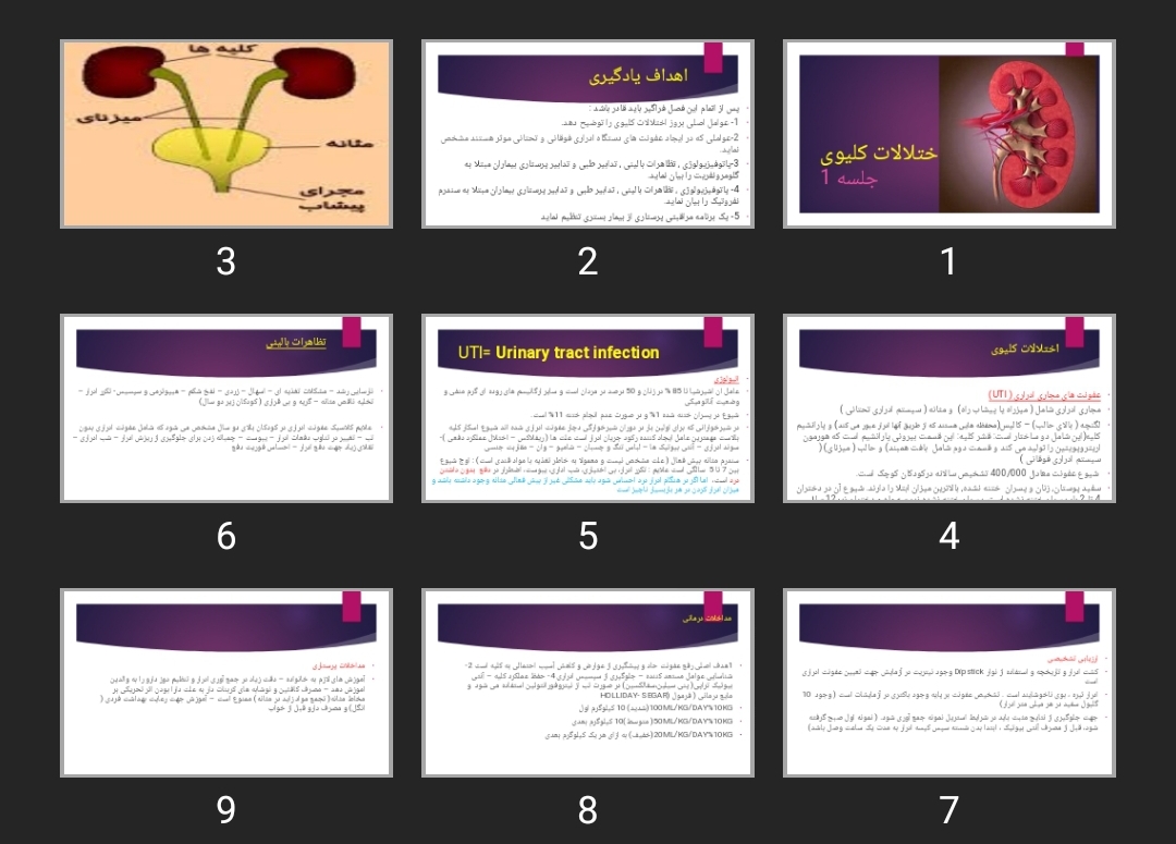 پاورپوینت اختلالات کلیوی