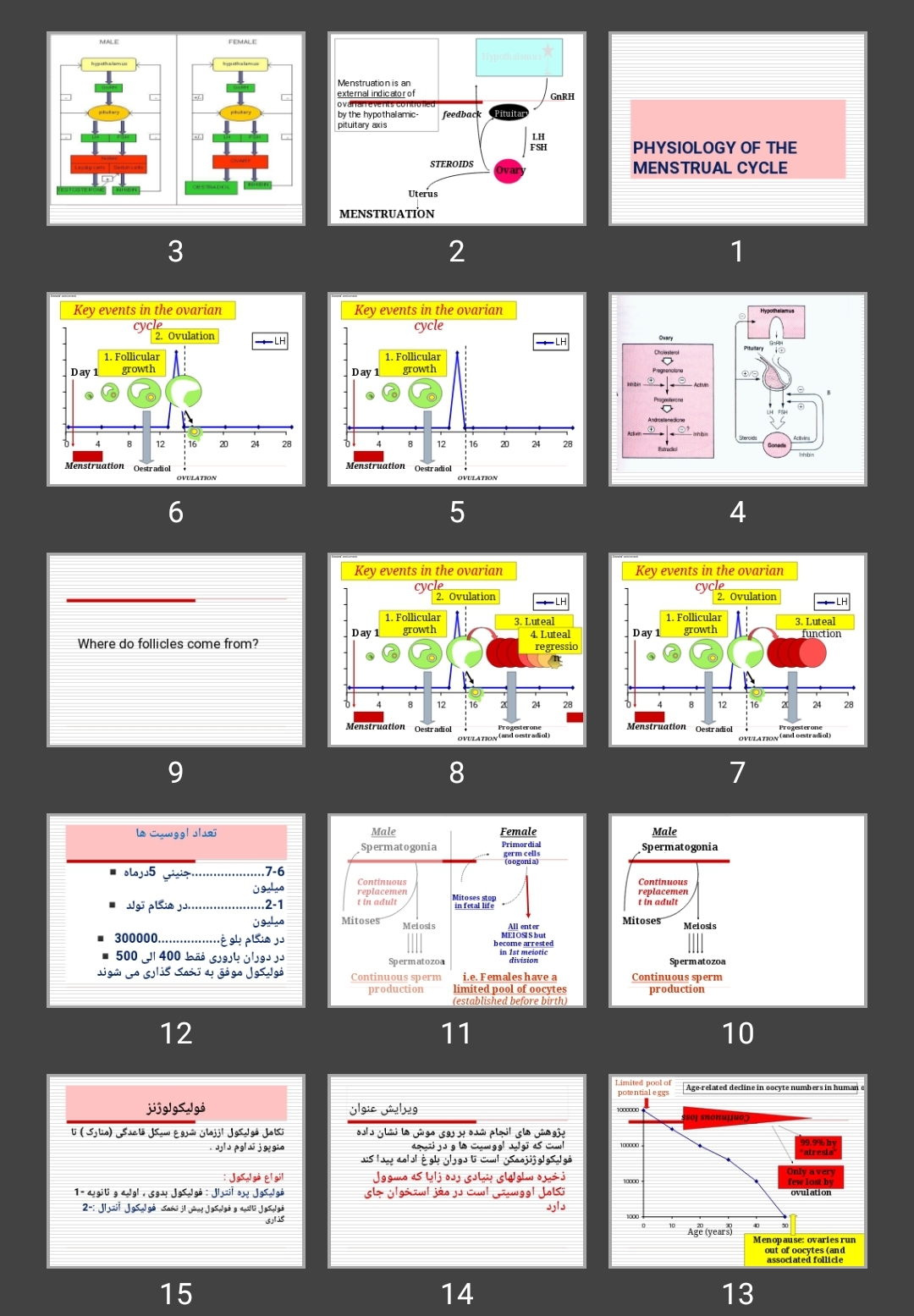 پاورپوینت PHYSIOLOGY OF THE MENSTRUAL CYCLE