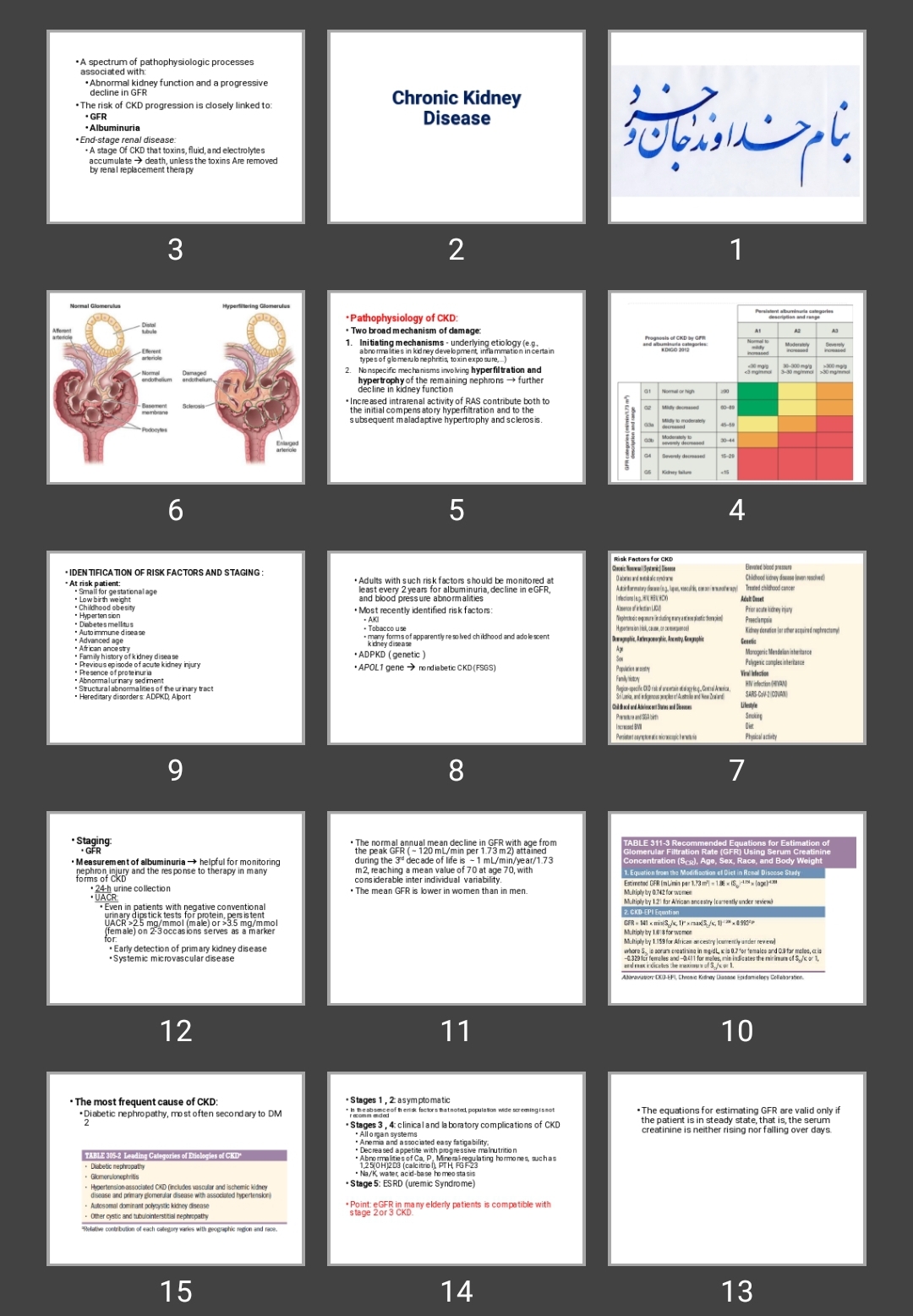 پاورپوینت Chronic Kidney Disease