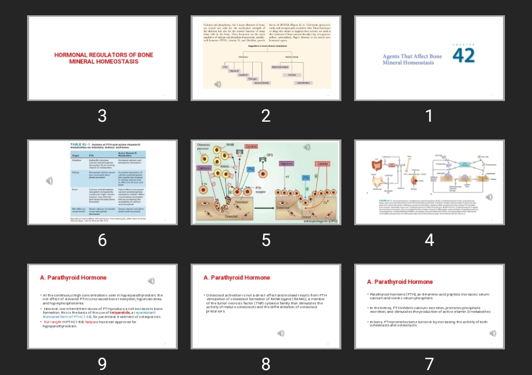 پاورپوینت Agents that Affect Bone Mineral Homeostasis