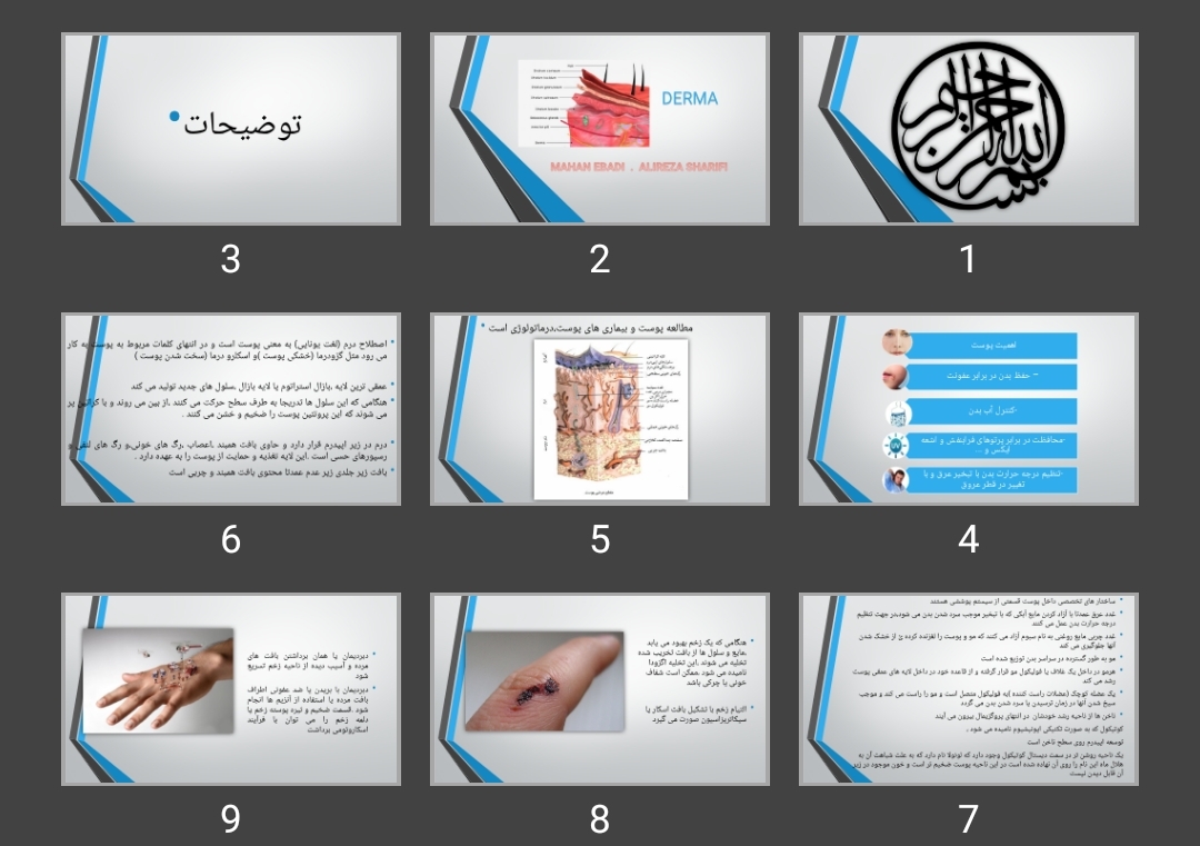 پاورپوینت ترمینولوژی پوست