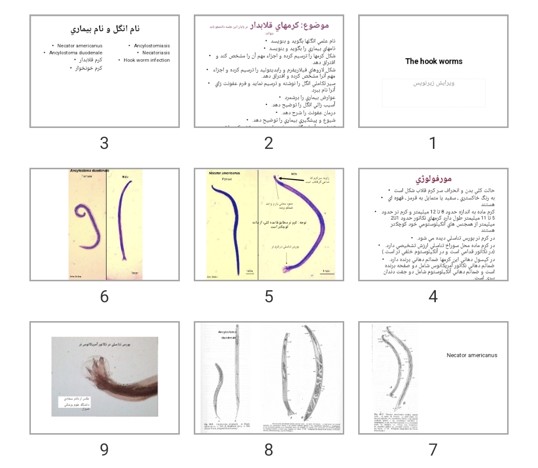 پاورپوینت The hook worms