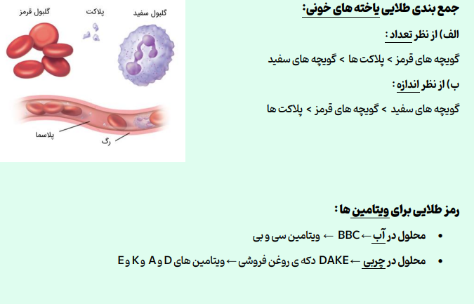 مجموعه خلاصه  زیست شناسی کنکور 1404 (پایه دهم و یازدهم و دوازدهم)