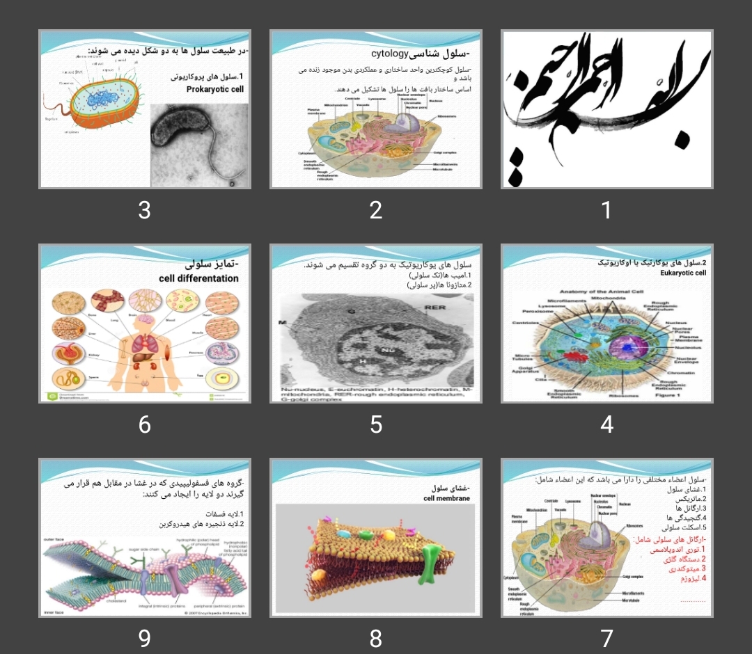 پاورپوینت سلول شناسی