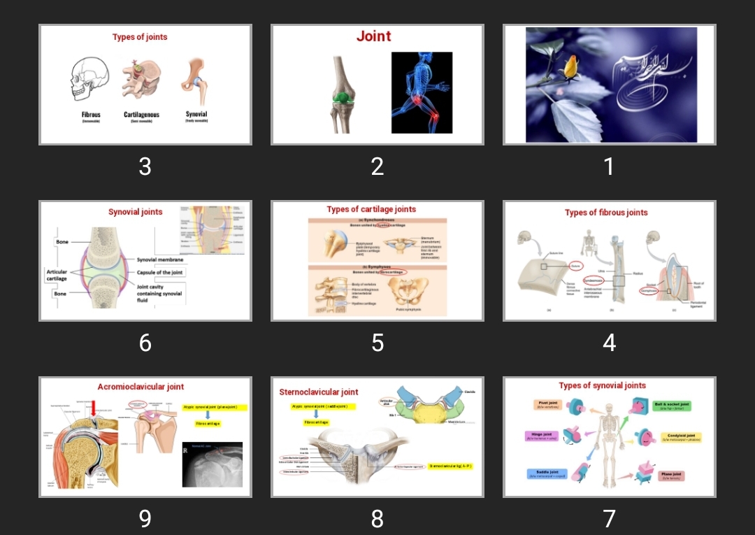 پاورپوینت Joints of upper limb and pectoral region