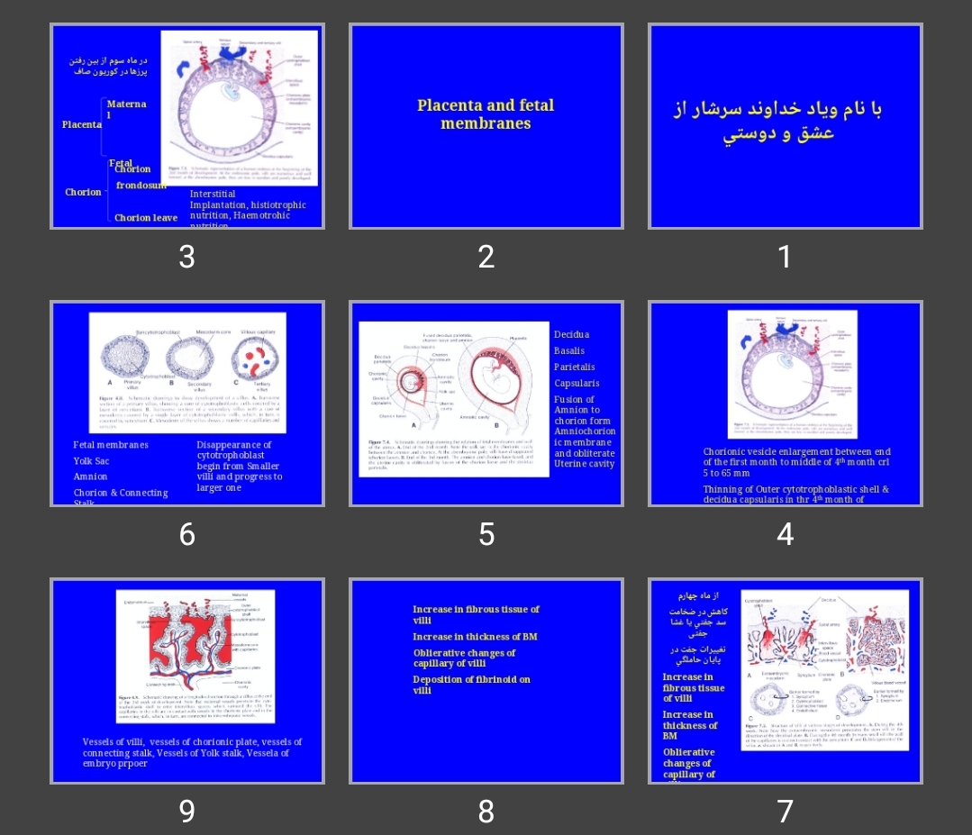 پاورپوینت Placenta and fetal membranes