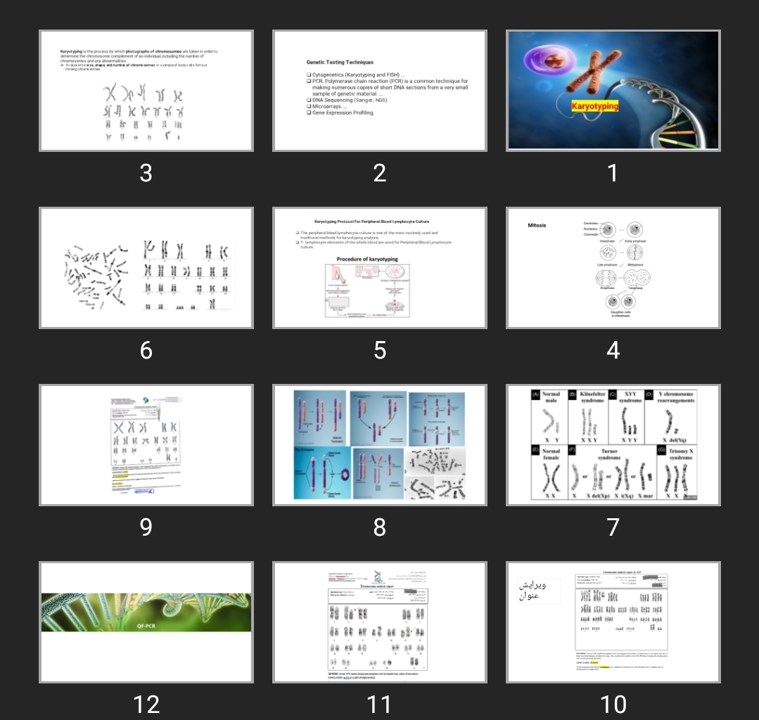 پاورپوینت Karyotyping