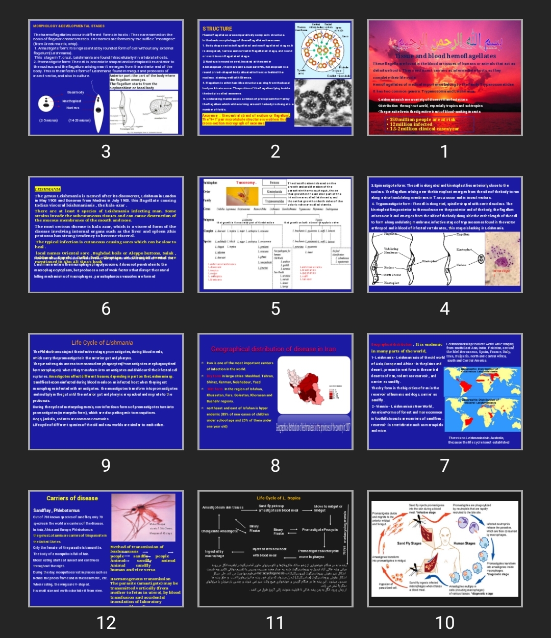 پاورپوینت leishmaniasis