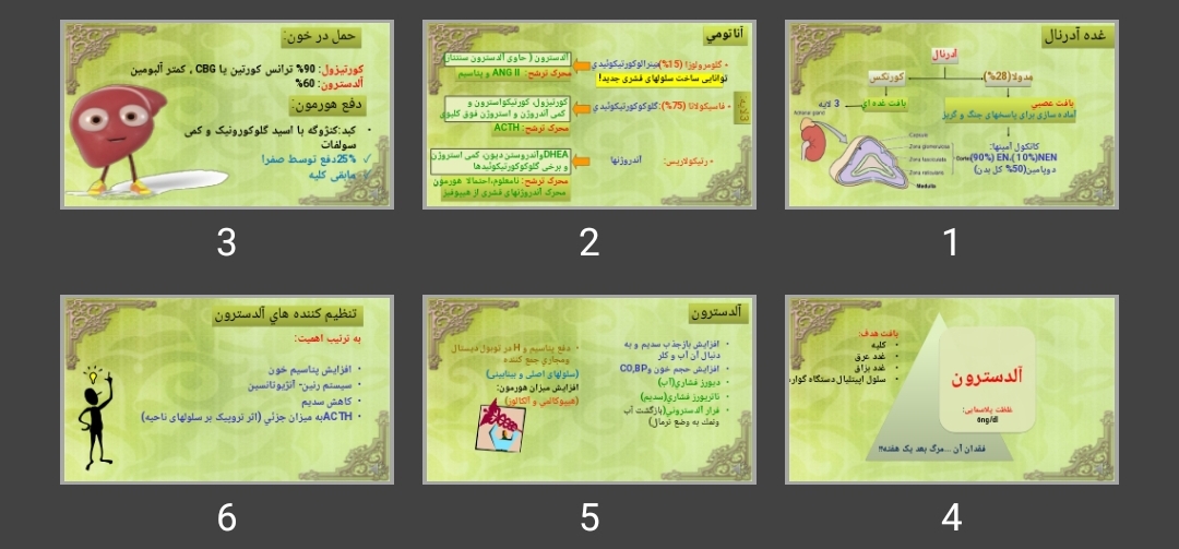 پاورپوینت غده آدرنال