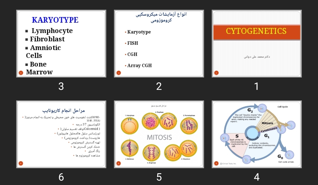 پاورپوینت CYTOGENETICS