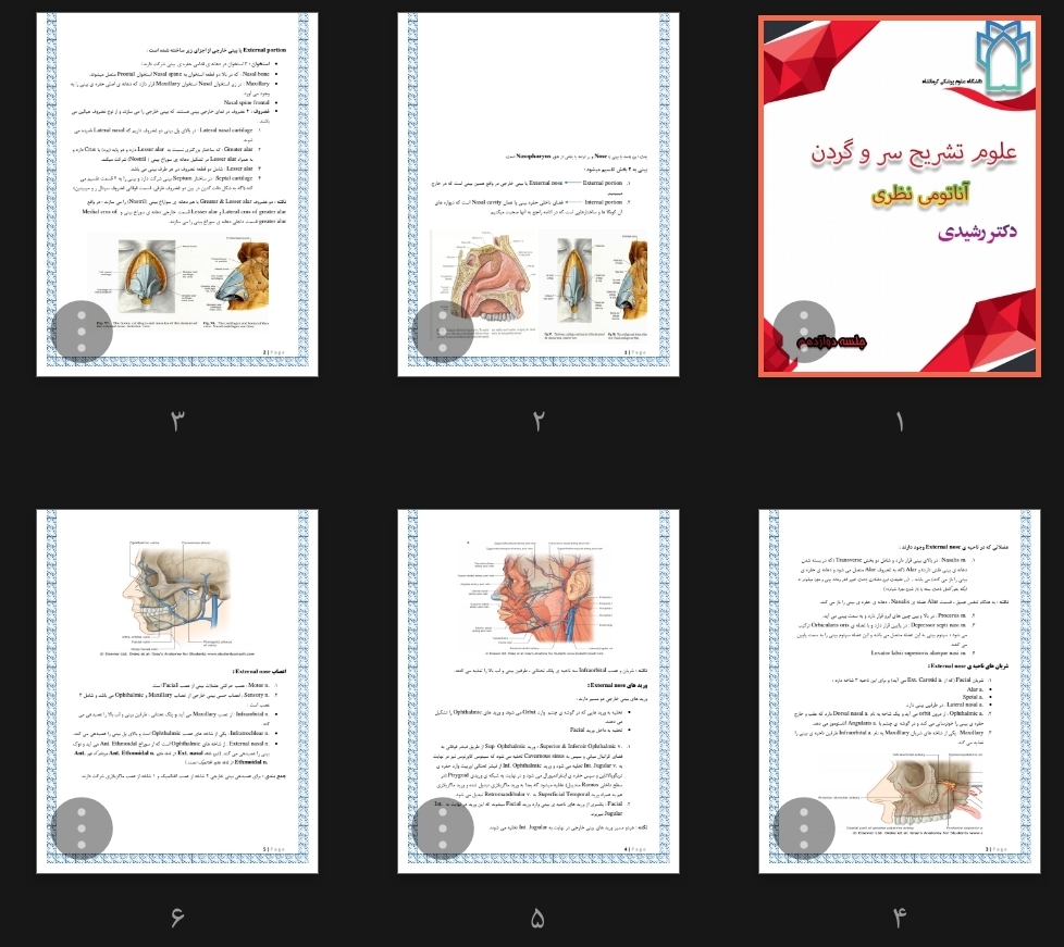 جزوه علوم تشریح سر و گردن، بینی