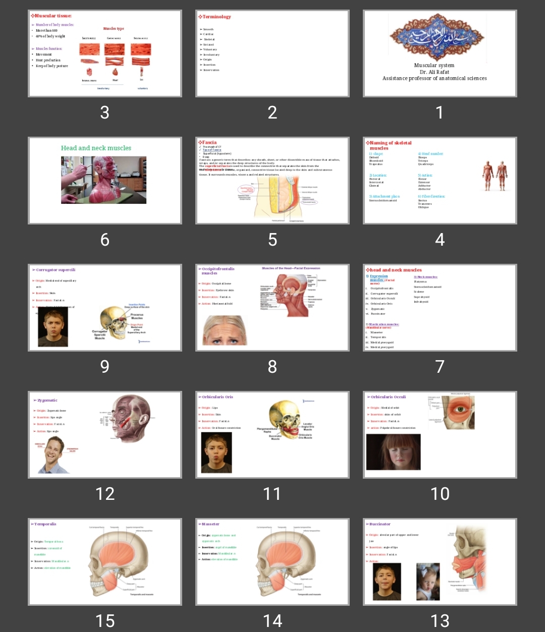 پاورپوینت Muscular system