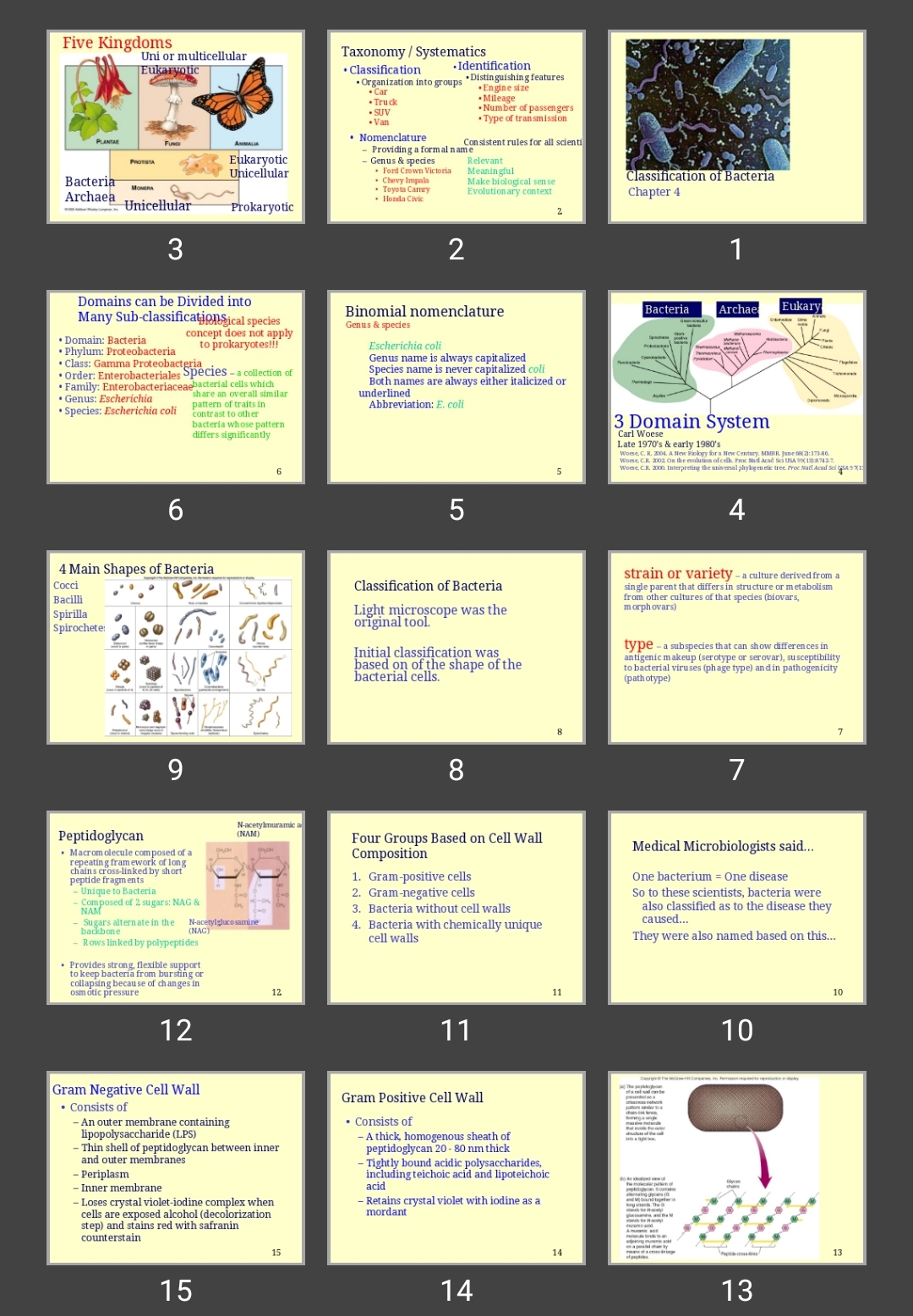 پاورپوینت Classification of Bacteria