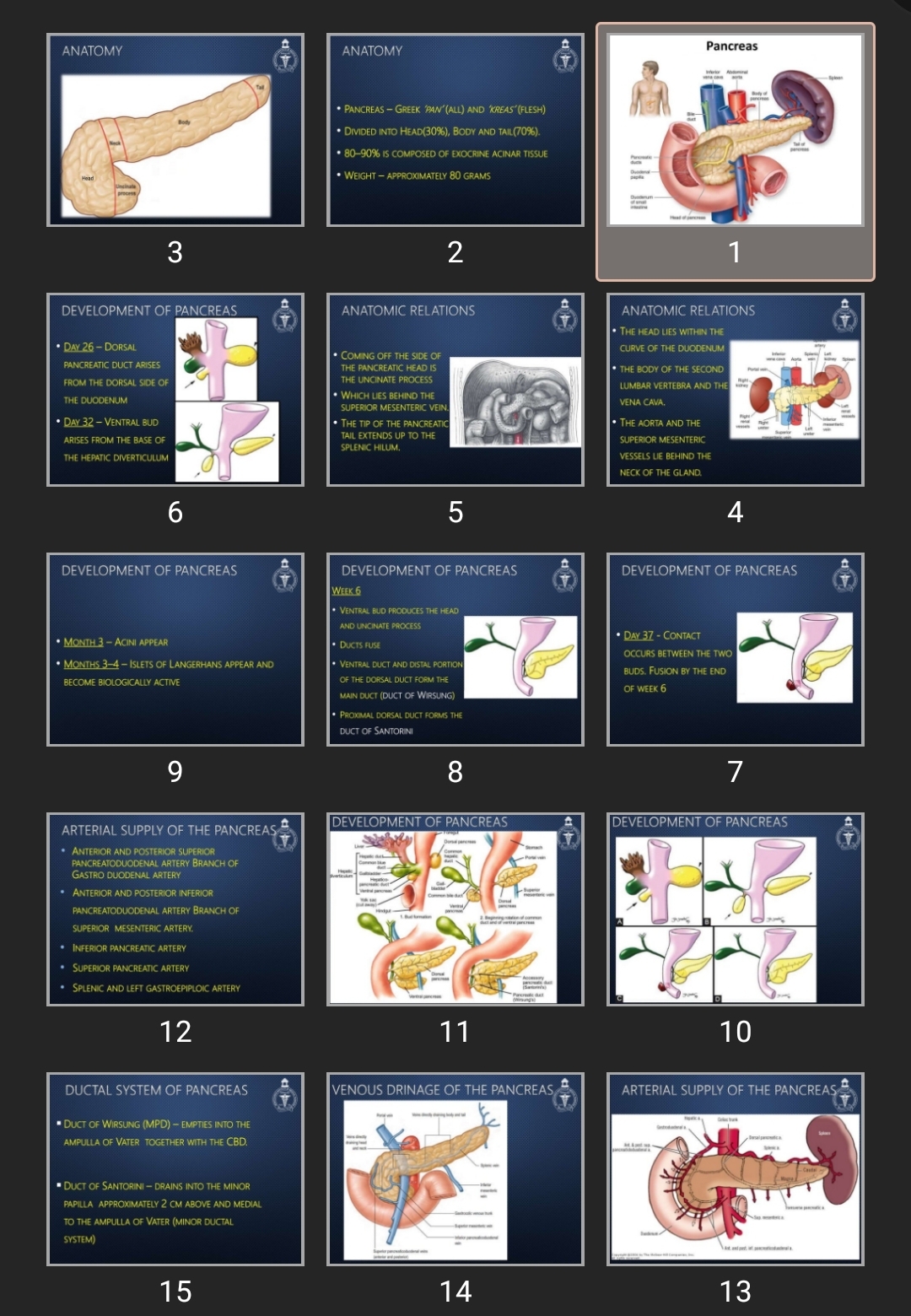 پاورپوینت Pancreas
