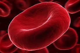 پاورپوینت , دستگاه گردش خون , 75 اسلاید , PPTX