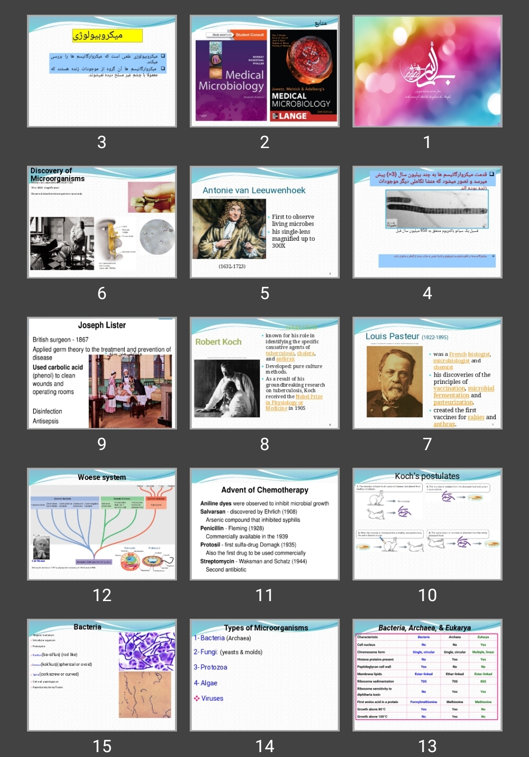 پاورپوینت Introdution microbiology