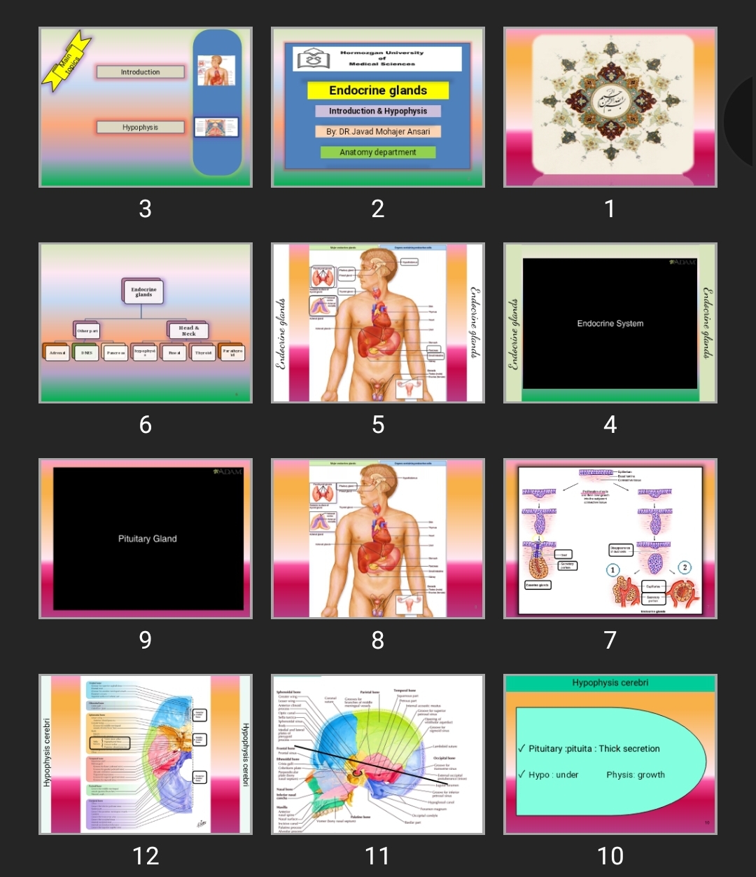 پاورپوینت Endocrine glands