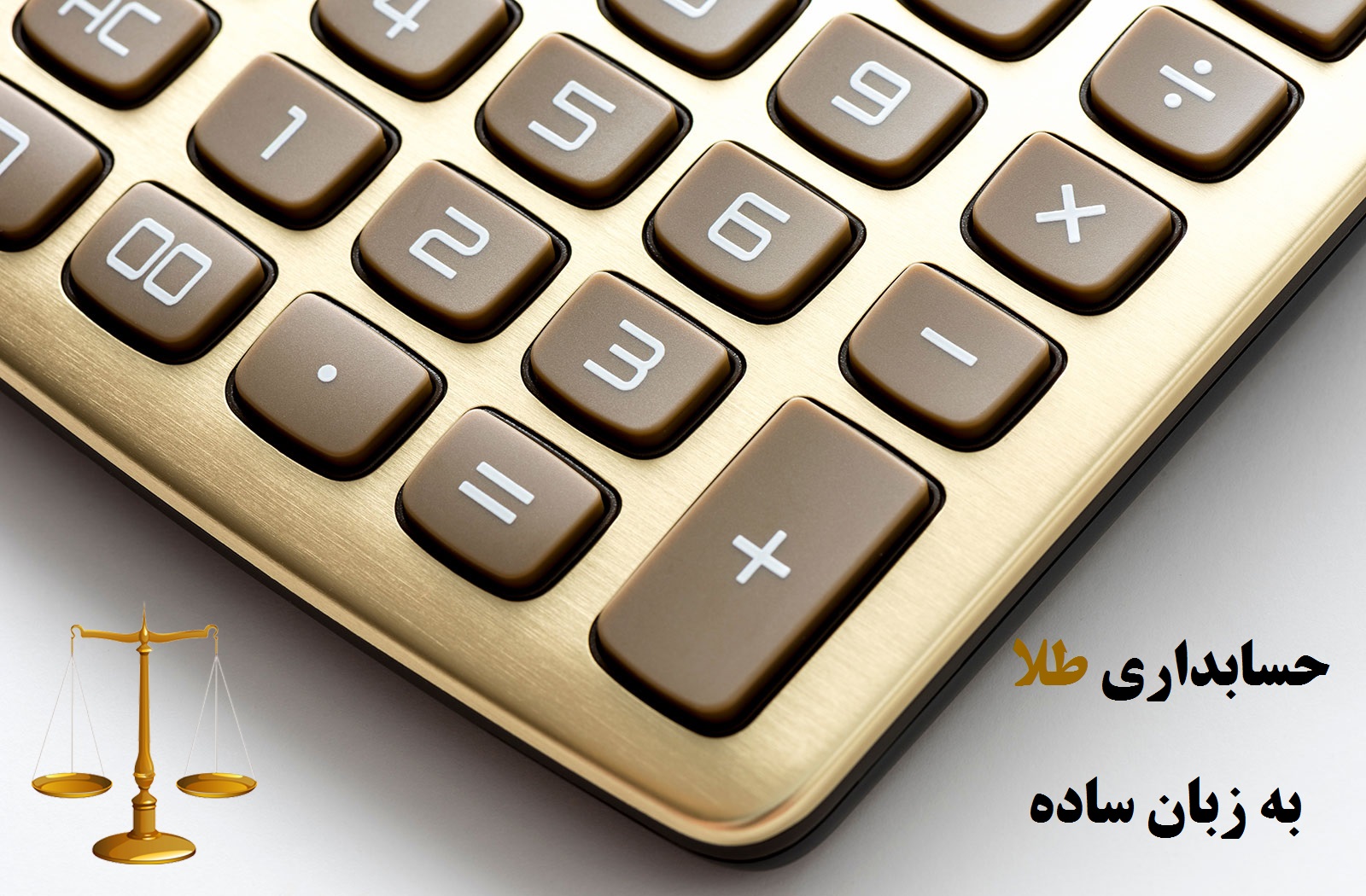 فایل های پرفروش