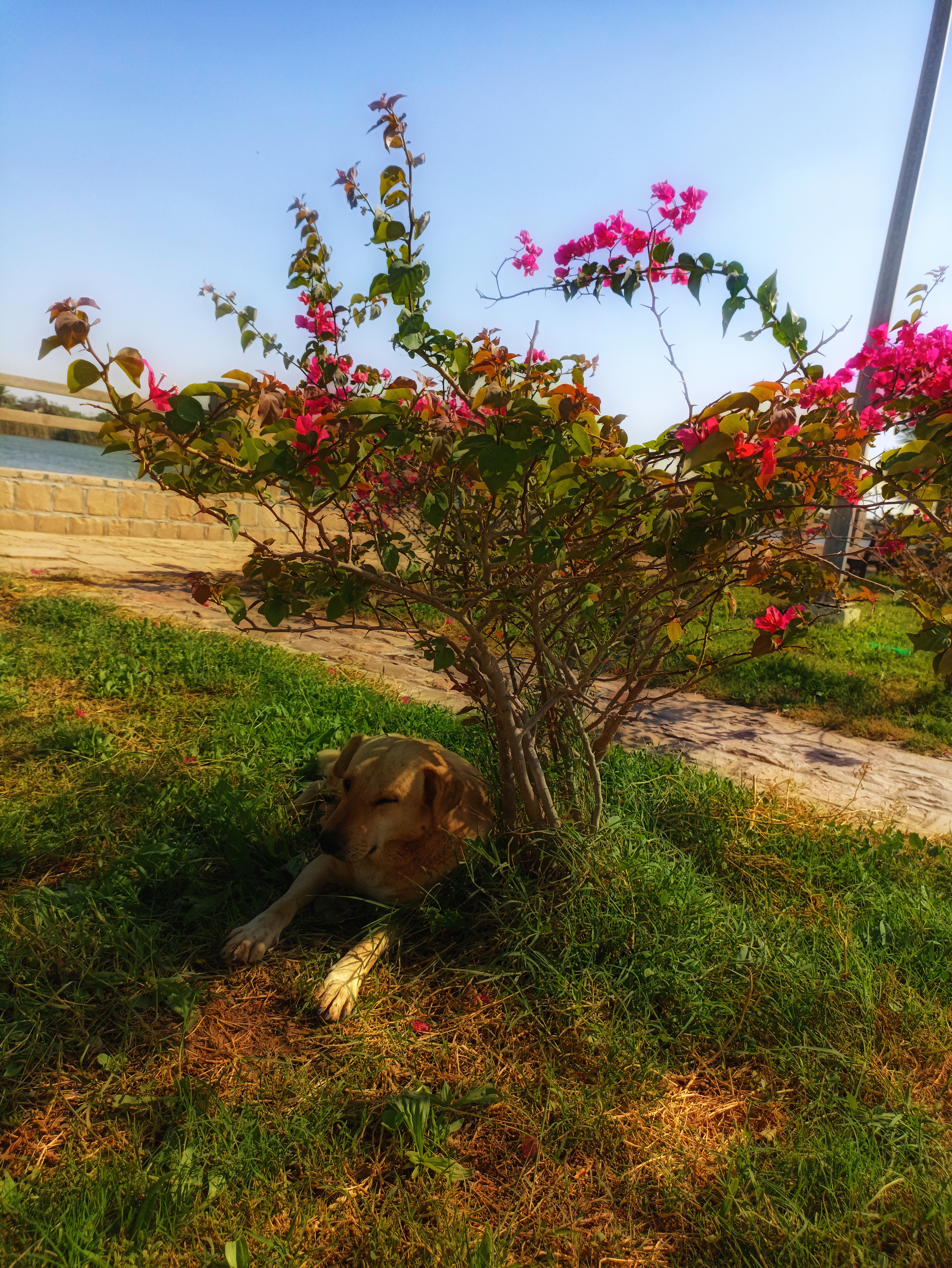 عکس برای پوستر و پس زمینه و...