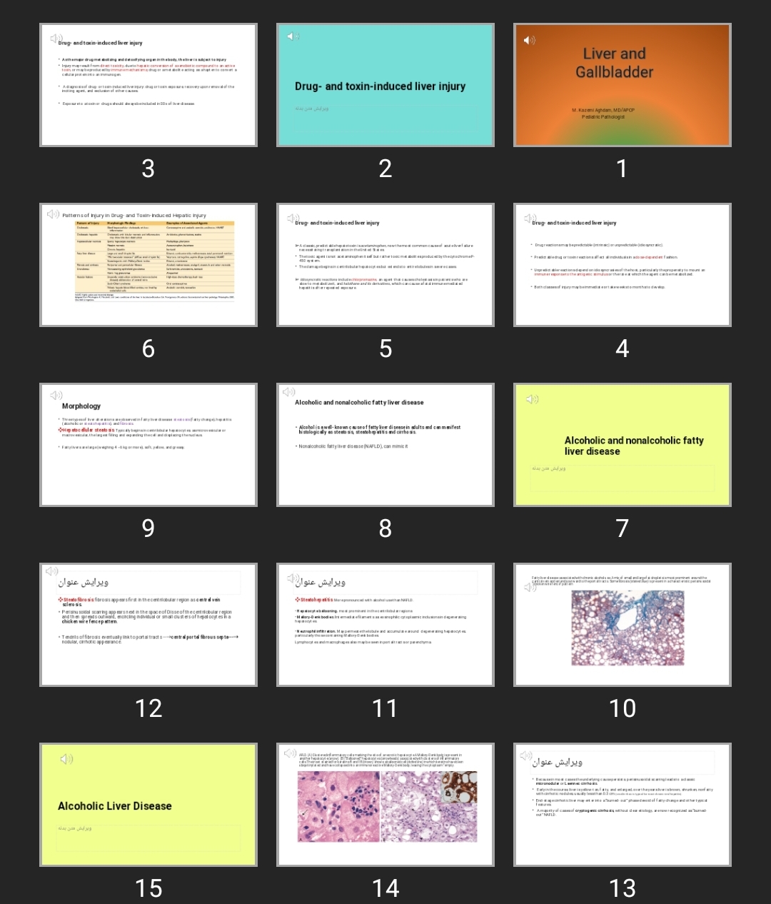 پاورپوینت Liver and Gallbladder