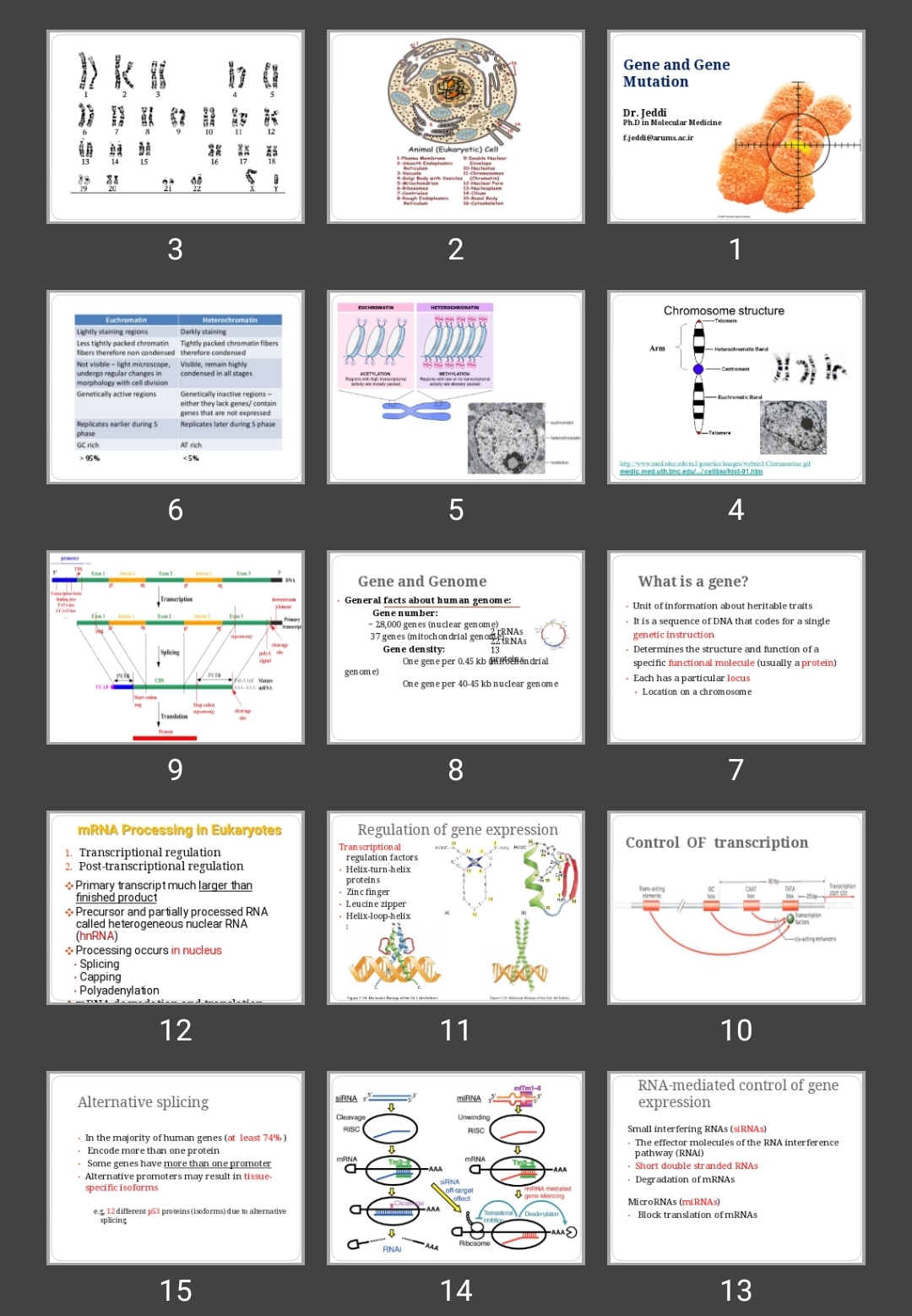 پاورپوینت Gene and Gene Mutation