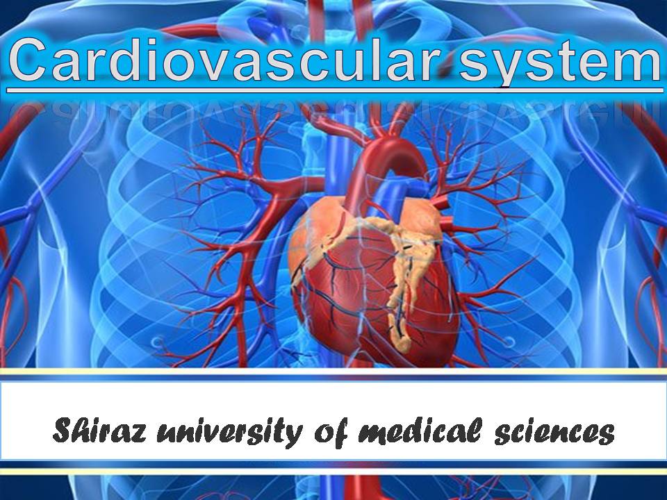   پاورپوینت با موضوع ترمینولوژی دستگاه قلب و عروق (Cardiovascular Terminology)