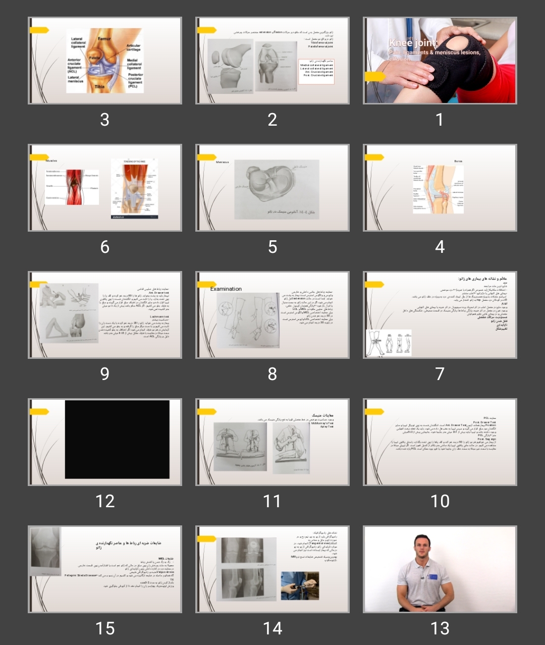 پاورپوینت Knee joint