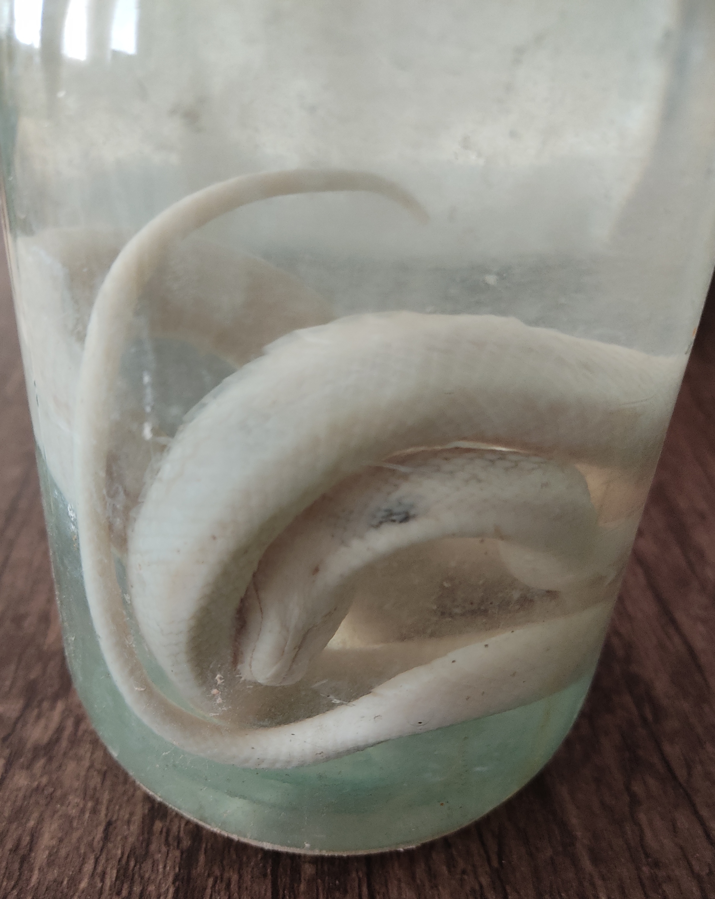 نام وکاربرد ابزارهای آزمایشگاهی