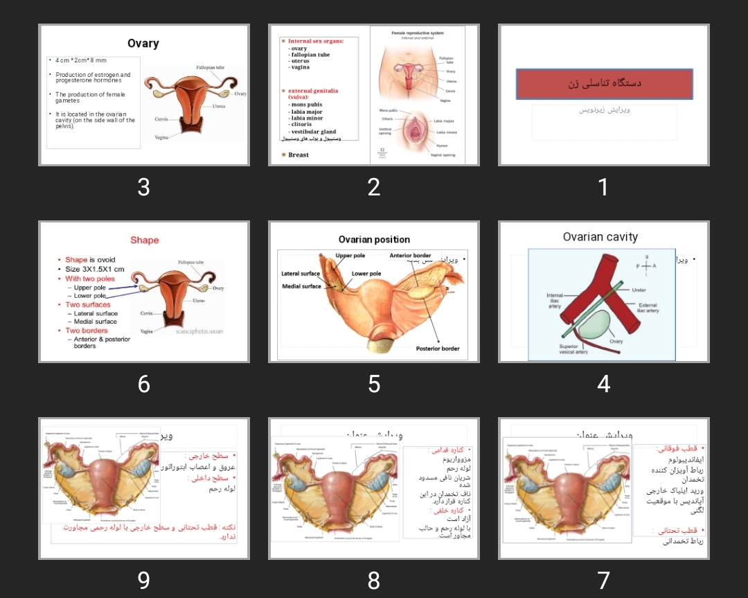 پاورپوینت دستگاه تناسلی زن