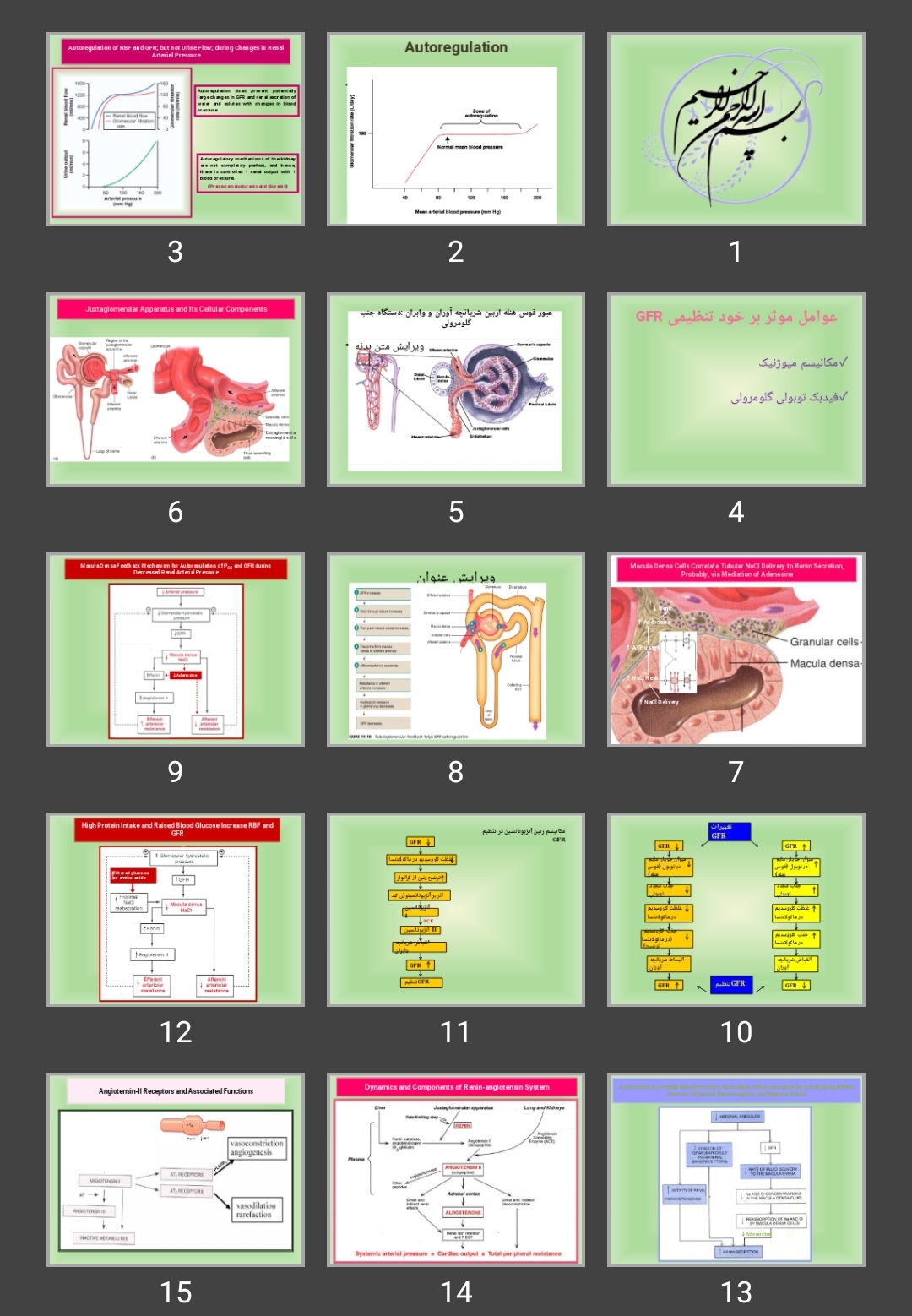 پاورپوینت فیزیولوژی کلیه Med renal Physiology