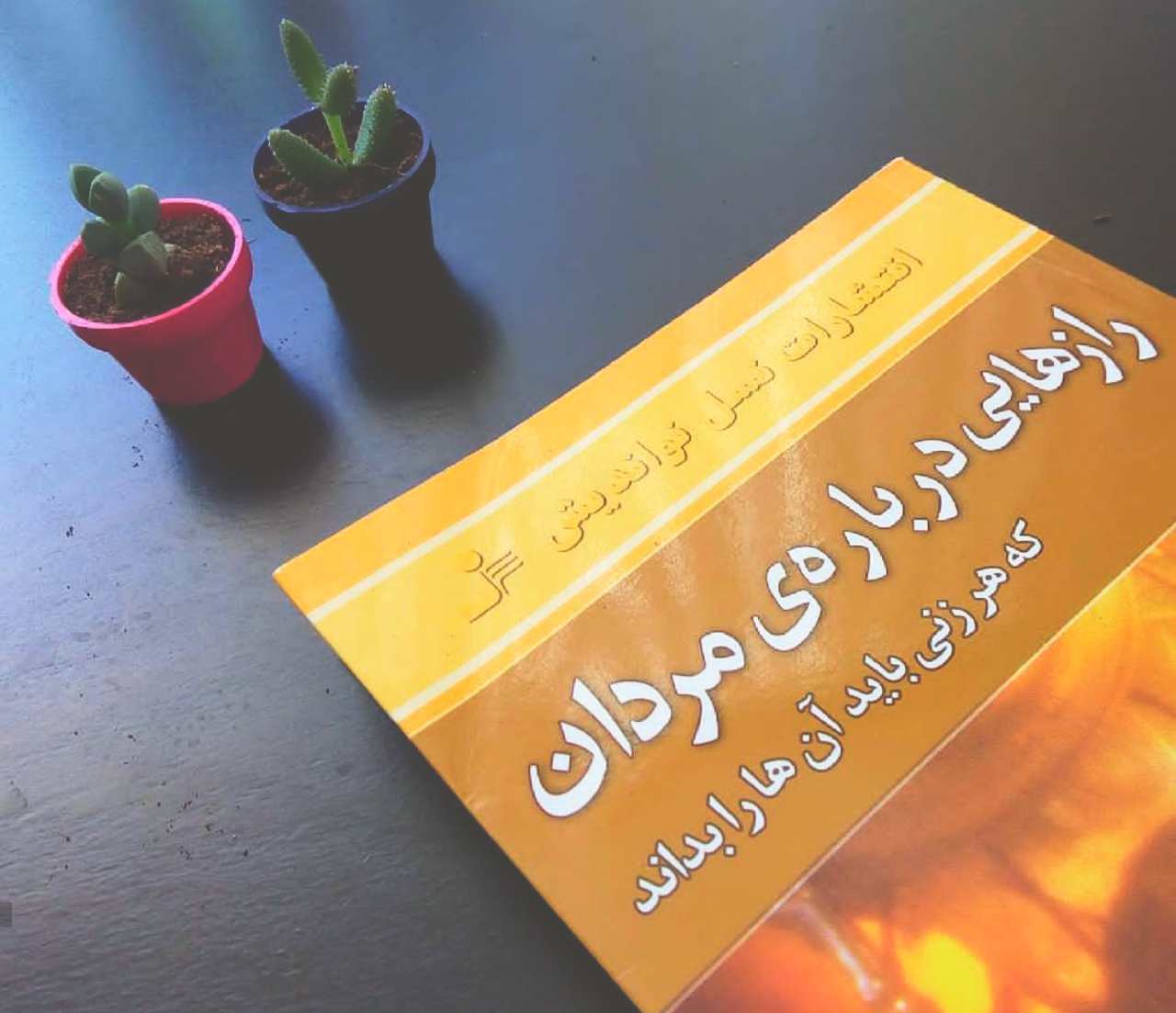 کتاب رازهایی درباره مردان که هر زنی باید آن‌ها را بداند