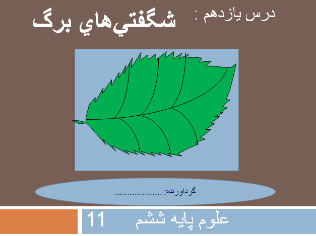 پاورپوینت شگفتي‌هاي برگ علوم ششم درس یازدهم- 16 اسلاید