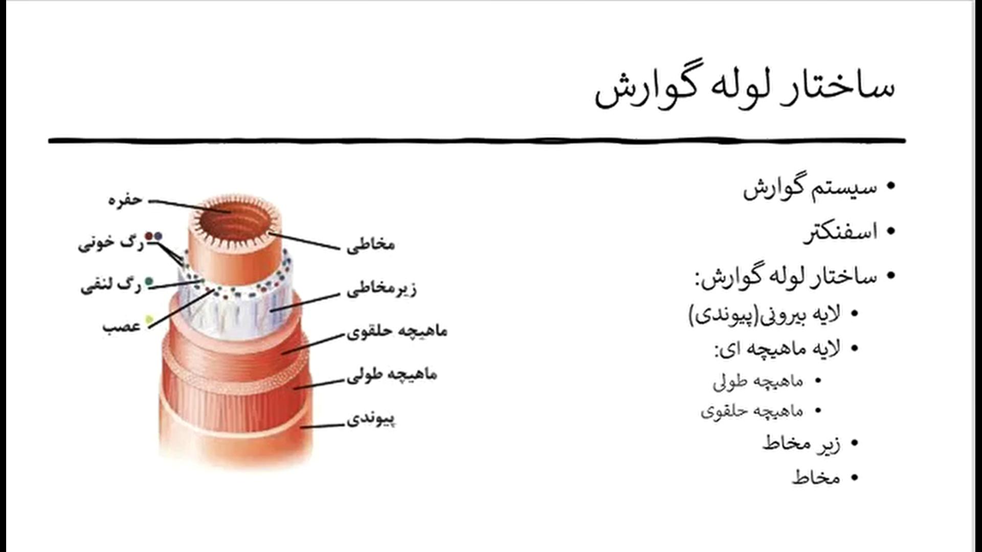 آموزش رایگان ویدئویی زیست شناسی