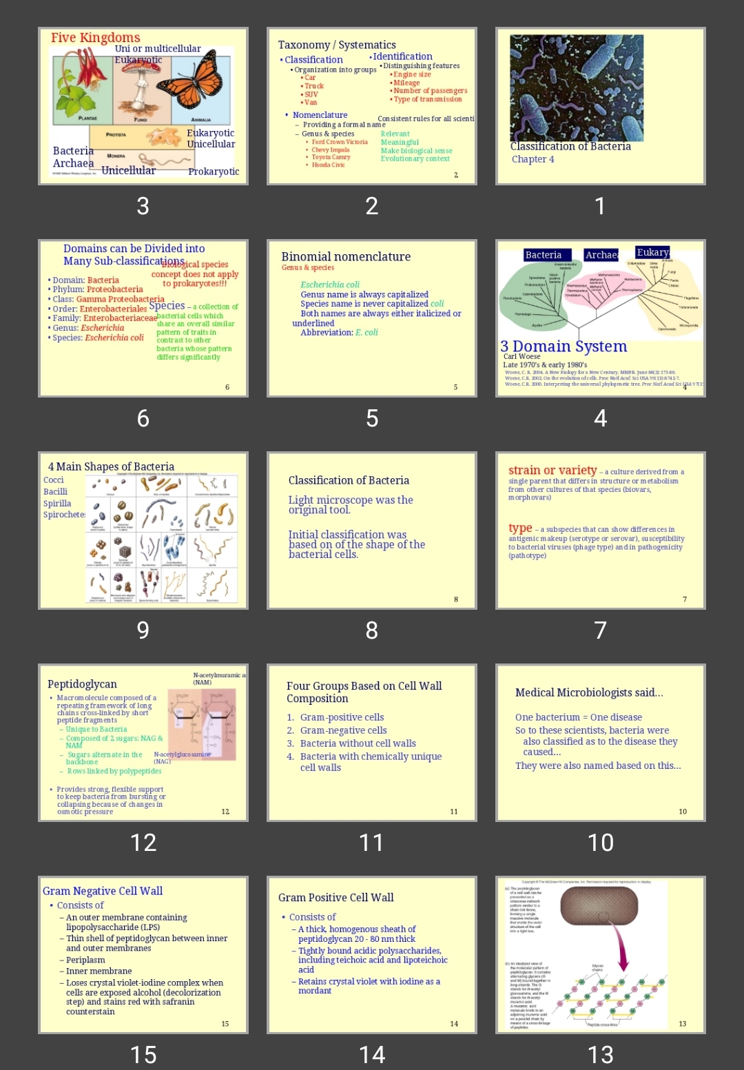 پاورپوینت Classification of Bacteria