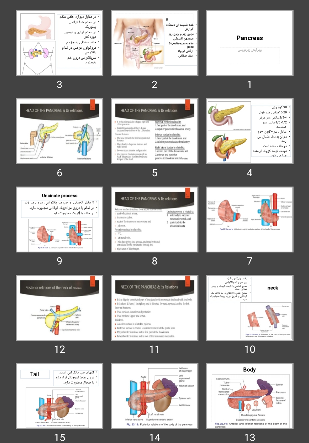 پاورپوینت کبد و پانکراس Pancreas