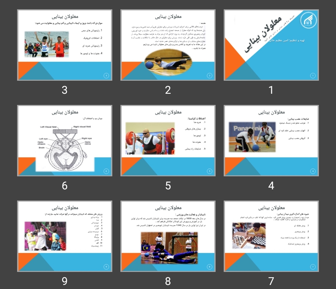 پاورپوینت معلولان بینایی