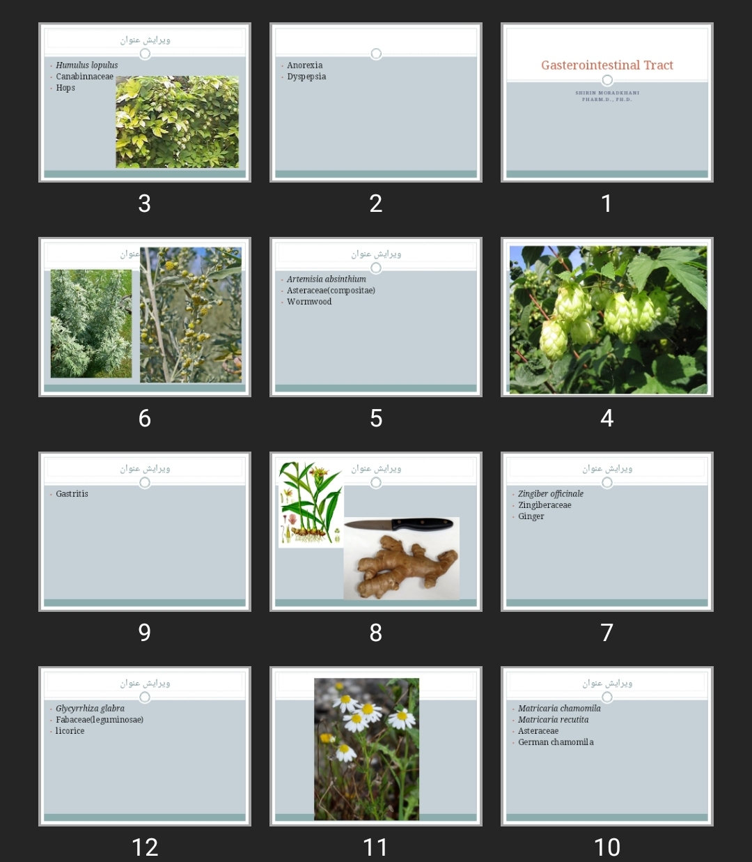 پاورپوینت Gasterointestinal Tract