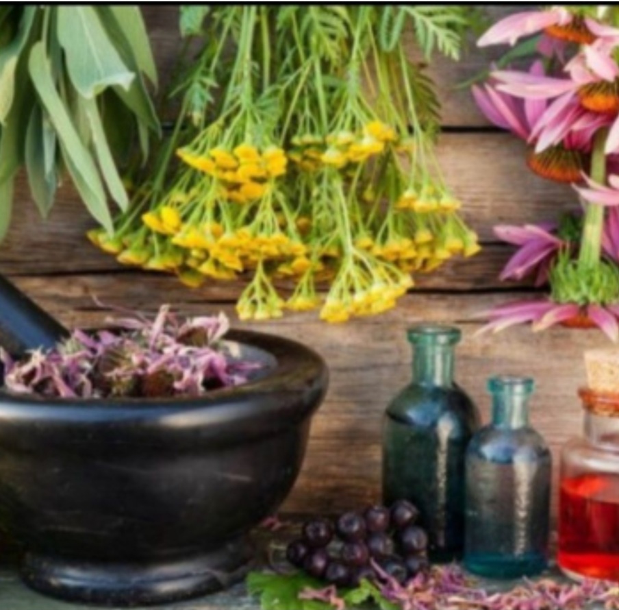 معجون سلامت ( خواص ودستور تهیه)