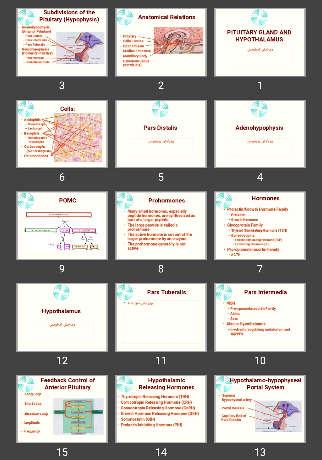 پاورپوینت PITUITARY GLAND AND HYPOTHALAMUS