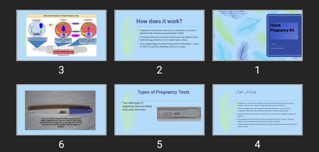 پاورپوینت Home Pregnancy Kit
