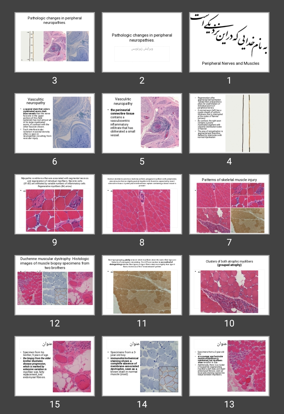 پاورپوینت Peripheral Nerves and Muscles