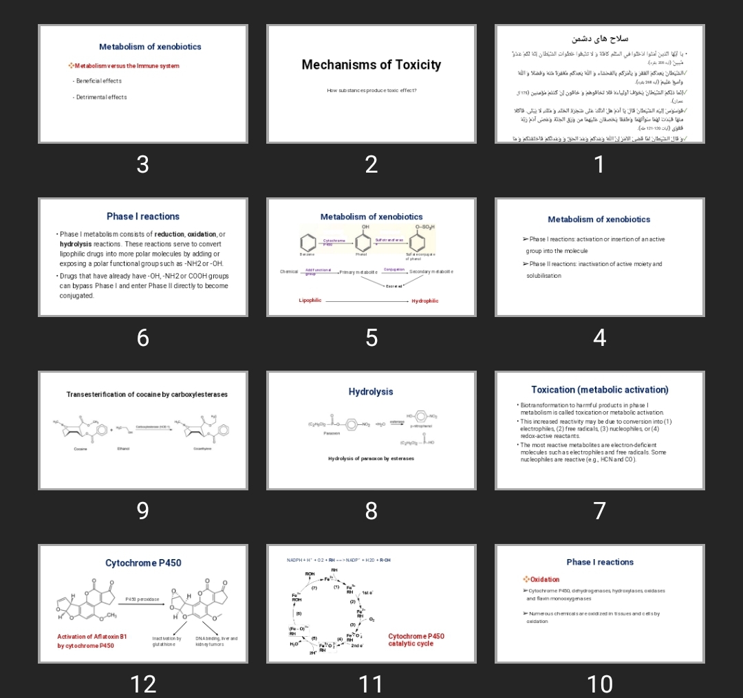 پاورپوینت Mechanisms of Toxicity